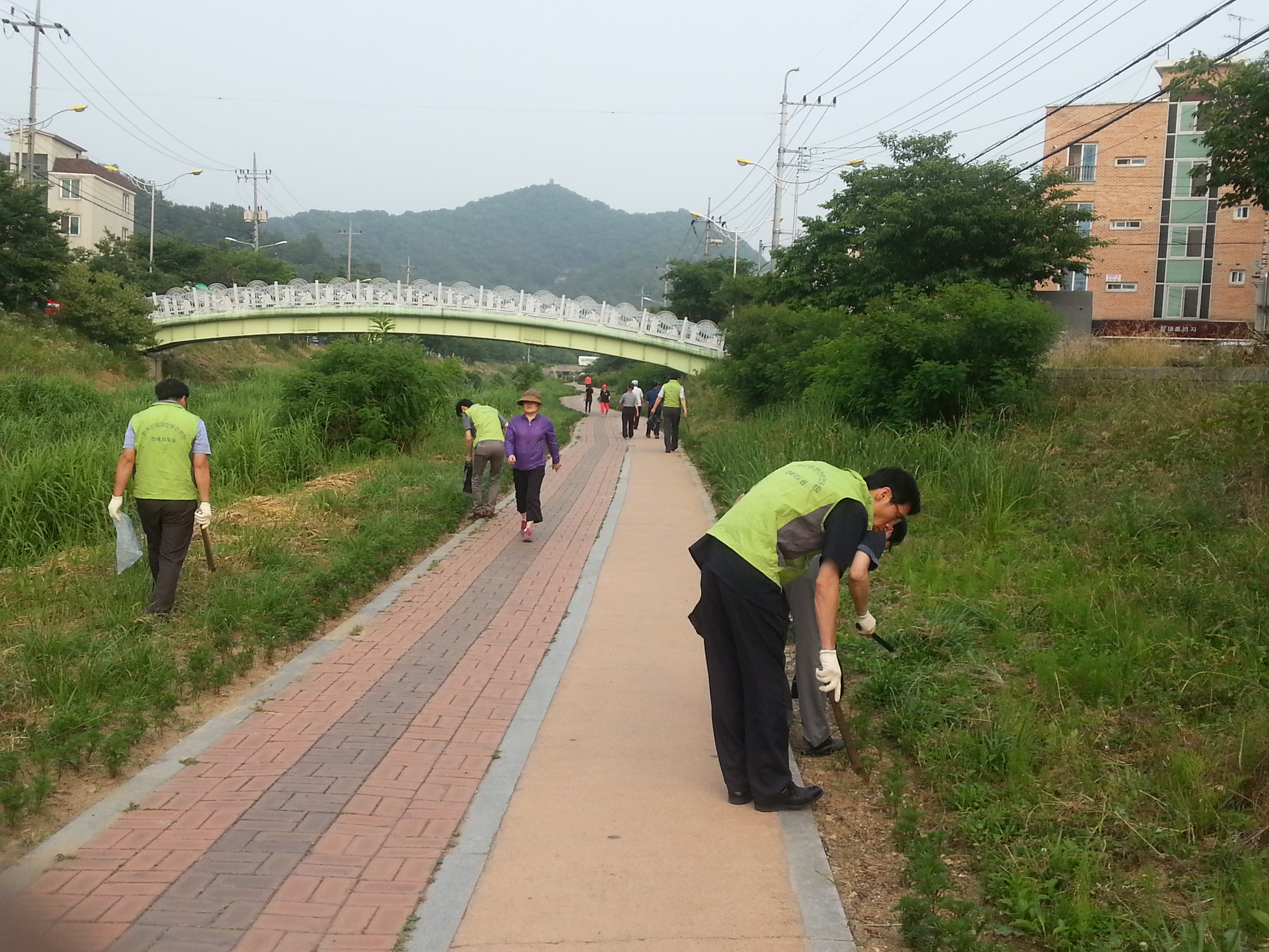 [전북] 환경정화 활동 ...