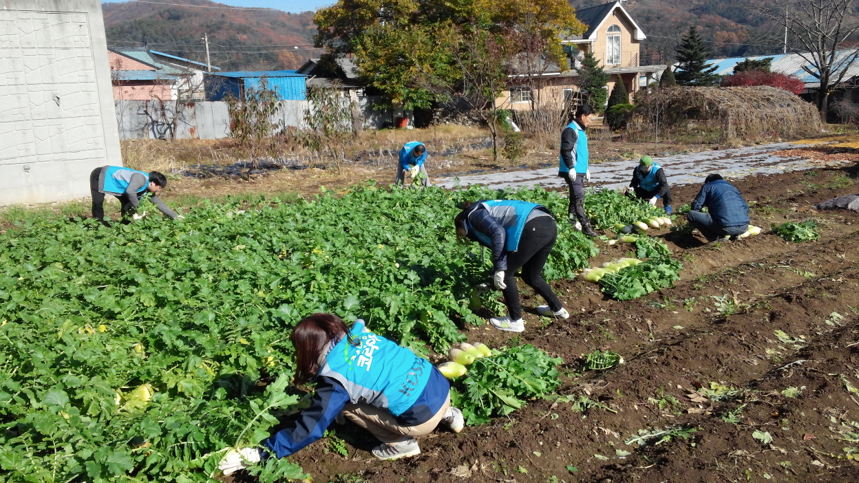 [서울본부] 농촌일손돕기...