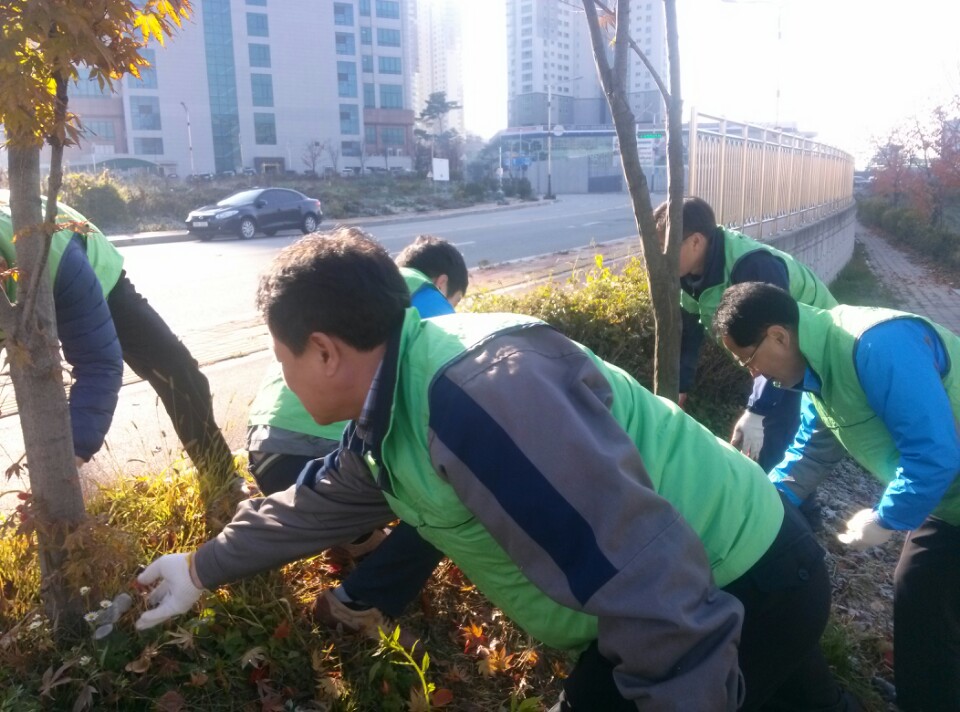 [스마일충남]충남지사 숲...