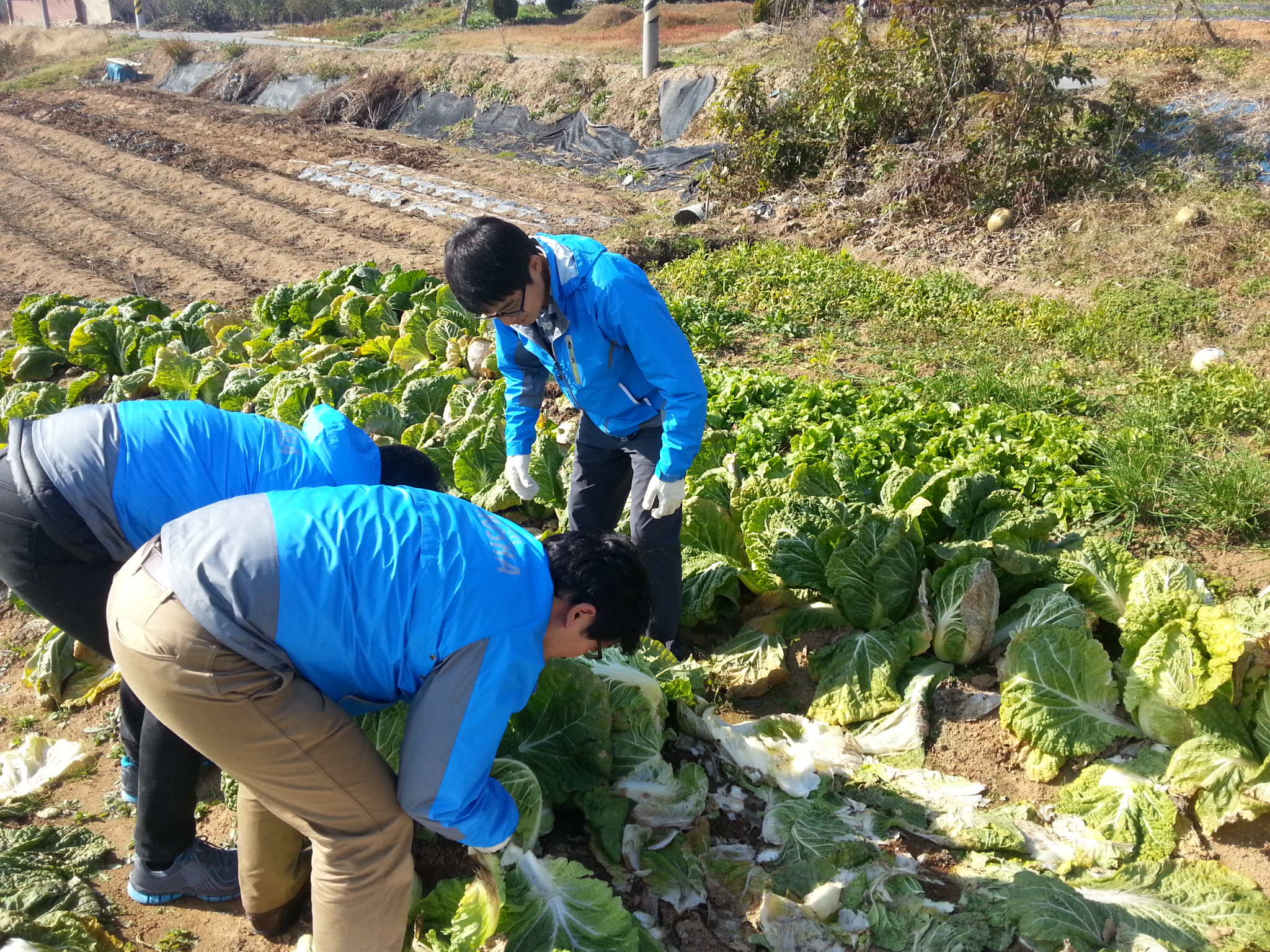 [전북] 가을철 농촌 일...